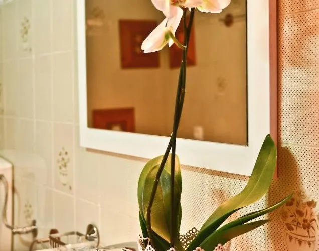 Apartment Quinta Amendoeiras Albufeira