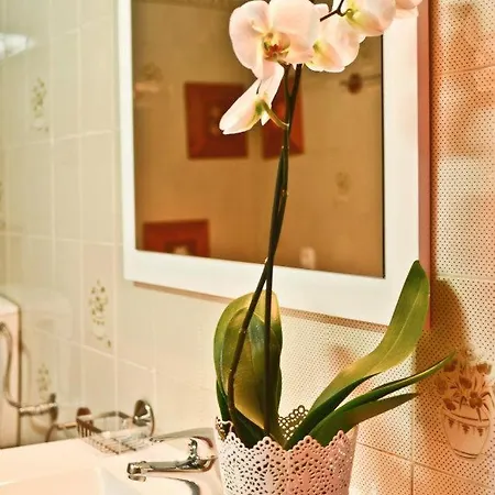 Apartament Quinta Amendoeiras Albufeira