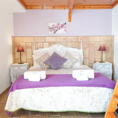 Apartament Quinta Amendoeiras *